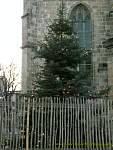 halberstadt36.jpg